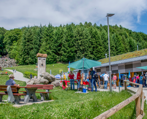 Umfeldmaßnahme Felsenmeer